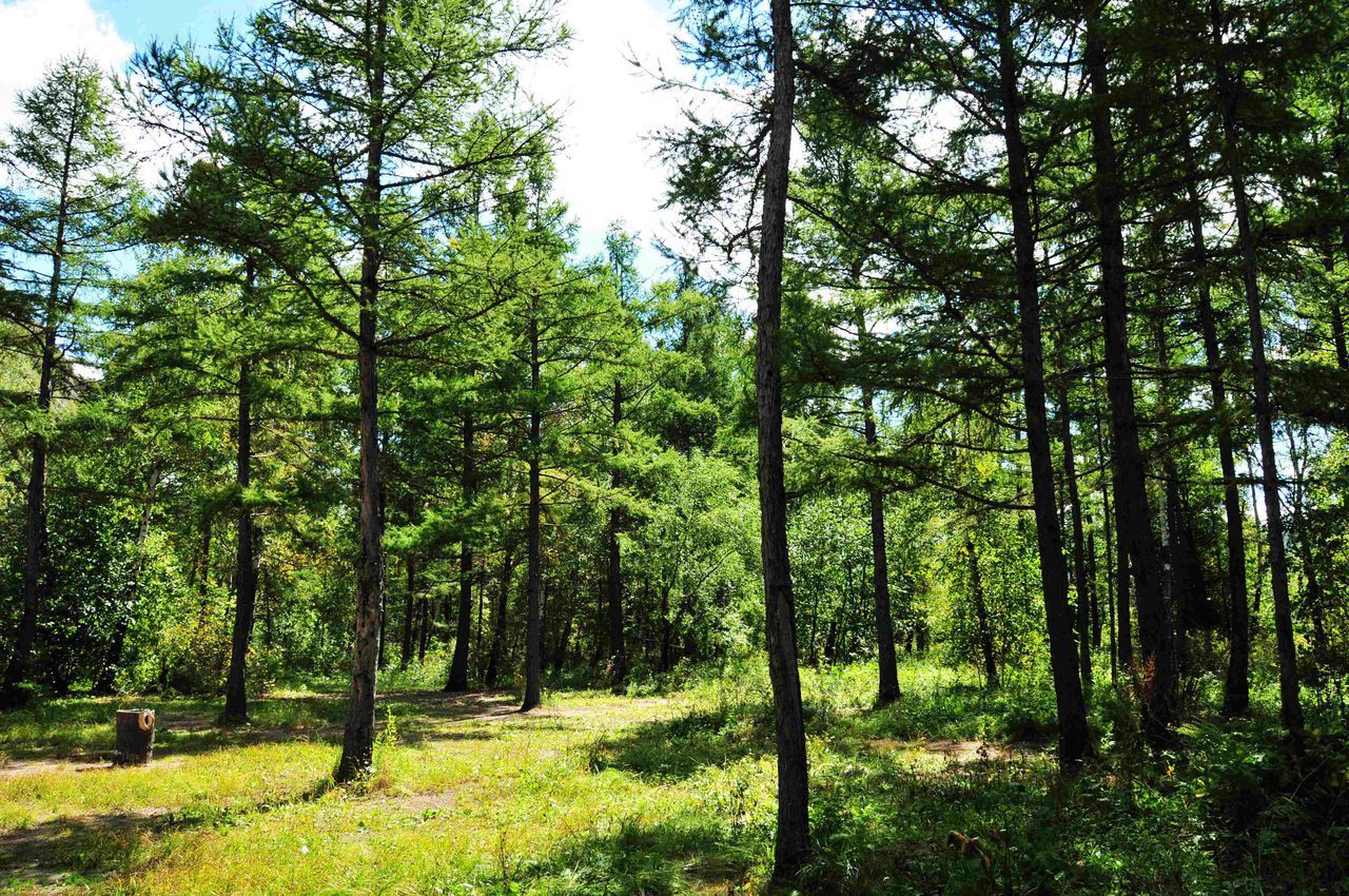 1595648572461847.jpg 1595648572461847.jpg