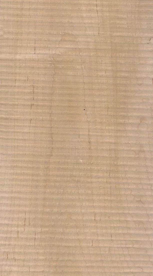 樺木的芯材顏色是淡紅棕色，邊材顏色近白色，板面寬且?guī)в暗哪酒な袌?chǎng)價(jià)格良好，紋理通常是直紋和波浪紋，質(zhì)地均勻，板面有很好的自然光澤度。.webp.jpg