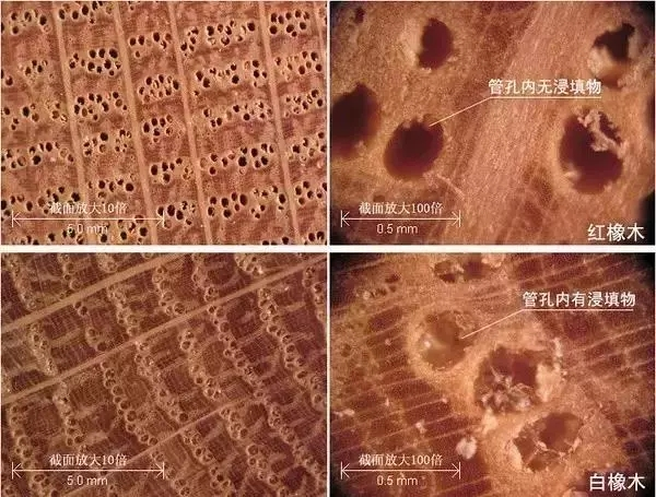 1622100303.png image.png